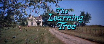 Grafika wydarzenia: Drzewo wiadomości (The Learning Tree).