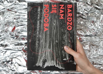 Bardzo nam się podoba. Współczesna. Sztuka. Pytania.