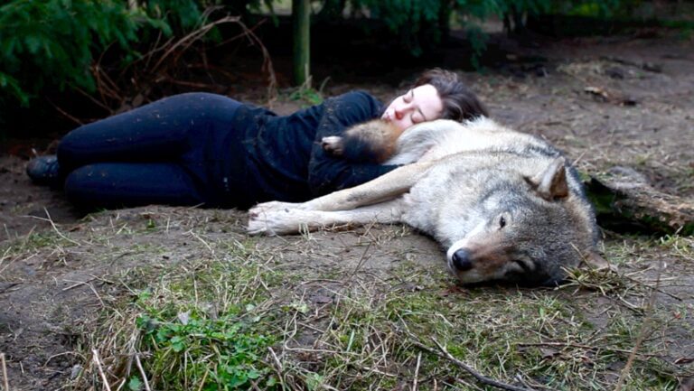 Zdjęcie: skraj lasu, na ziemi leży kobieta, głowę opiera na dużym wilku, który leży spokojnie, mrużąc oczy.