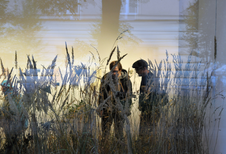 Zdjęcie. Dwóch mężczyzn w przestrzeni wystawy. Są częściowo zasłonięci wysokimi kwitnącymi trawami różnych gatunków.