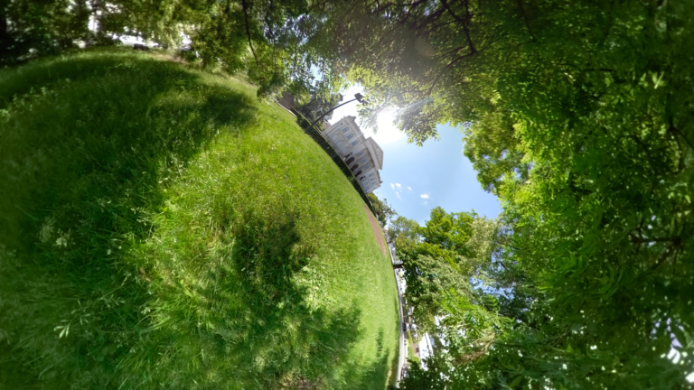 Zdjęcie zrobione z perspektywy żaby przedstawia zieloną trawę placu Małachowskiego na pierwszym planie i budynek Zachęty w tle. Obraz zniekształca efekt rybiego oka. Przestrzeń jest zakrzywiona, a budynek przechylony o 45 stopni.