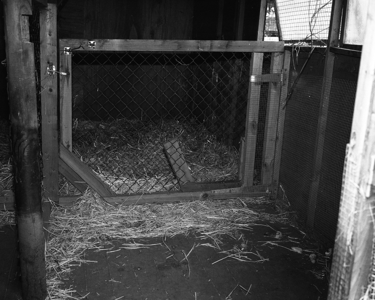 Czarno-białe zdjęcie. Pusta klatka-zagroda dla zwierząt hodowlanych. Na ziemi leży siano