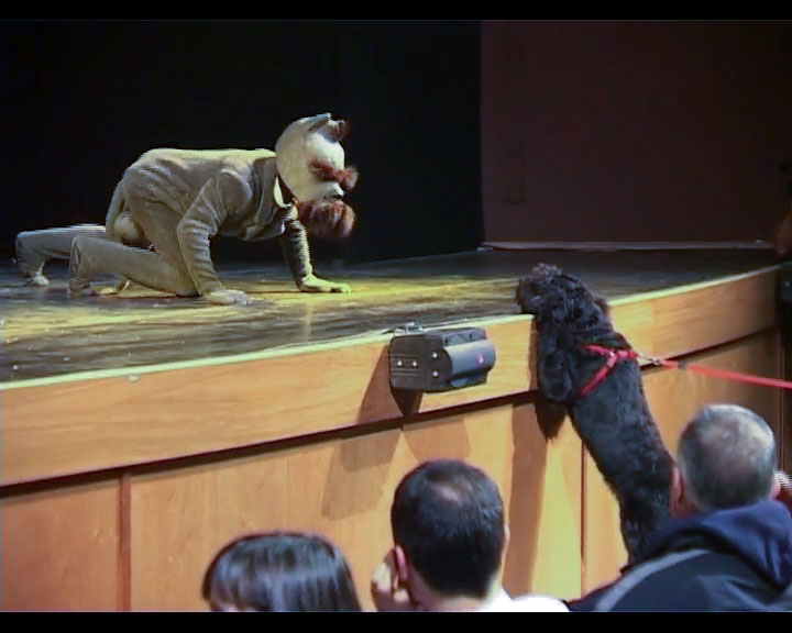 Katarzyna Kozyra. Teatro di cani