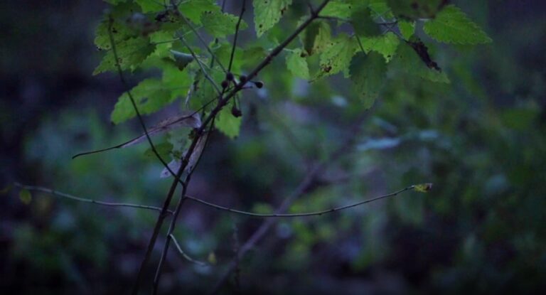 Liliana Piskorska. Silne siostry powiedziały braciom