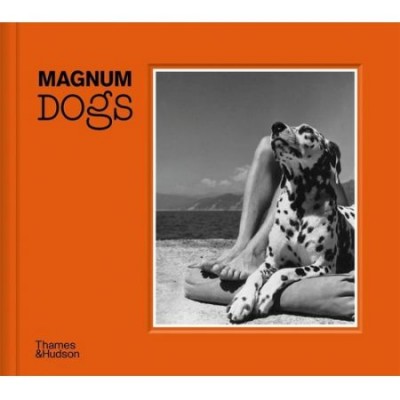 Grafika produktu: Magnum Dogs