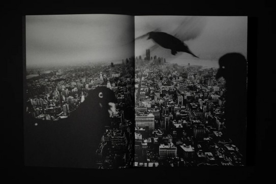 Grafika produktu: Tomasz Tomaszewski. THE WORLD IS WHERE…