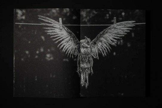 Grafika produktu: Tomasz Tomaszewski. THE WORLD IS WHERE…