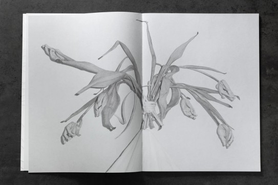Grafika produktu: Garden : Zgierska/ Sarełło