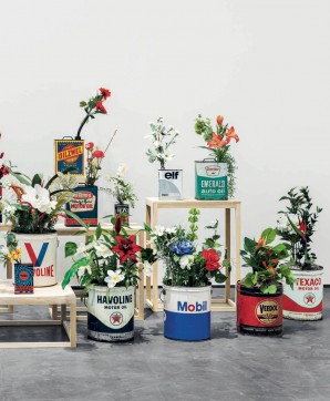 Grafika produktu: Minerva Cuveas