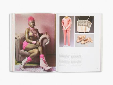 Grafika produktu: The V&A Book of Colour in Design