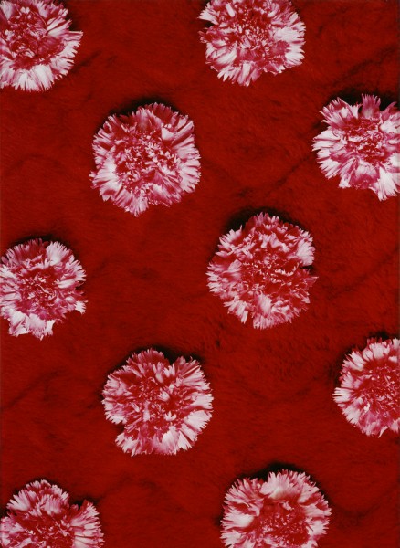 ALT 1: na czerwonym tle równomiernie ułożone różowe kwiaty (goździki)