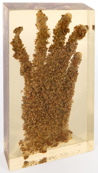 Fotografia rzeźby. W przezroczystej żywicy wielkości kartki A4 zatopiona rękawiczka obsiana kiełkującą rzeżuchą