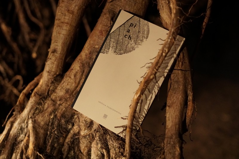 Zdjęcie książki umieszczonej pomiędzy korzeniami, na czarnym tle. Okładka książki jest szara w prawym górym rogu widać niewielką czarną grafikę przedstawiającą żyłki liścia. Widoczny jest również tytuł książki: Piach oraz nazwisko autorki