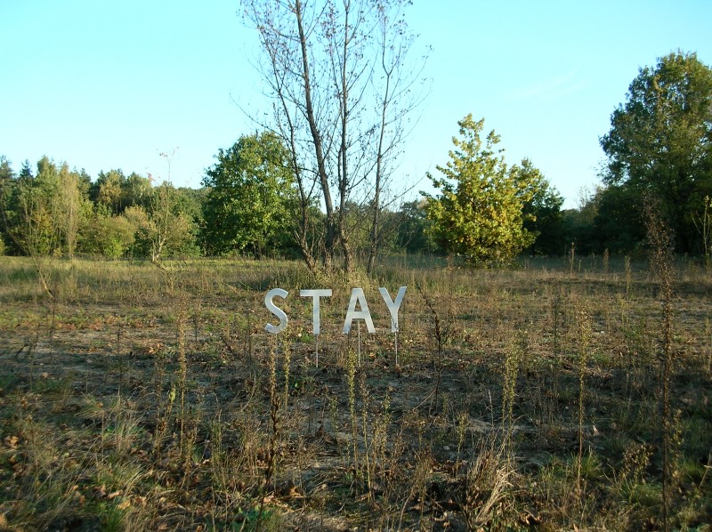 zdjęcie przedstawia polanę, na środku której stoi metalowy, srebrny napis STAY