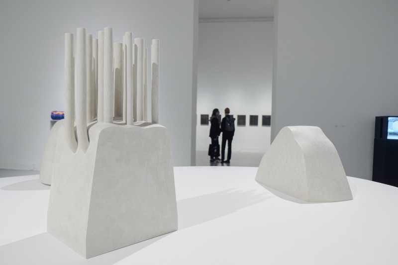 widok wystawy, na pierwszym planie białe, gipsowe rzeźby o obłych formach, przypominające pagórki i pienie drzew