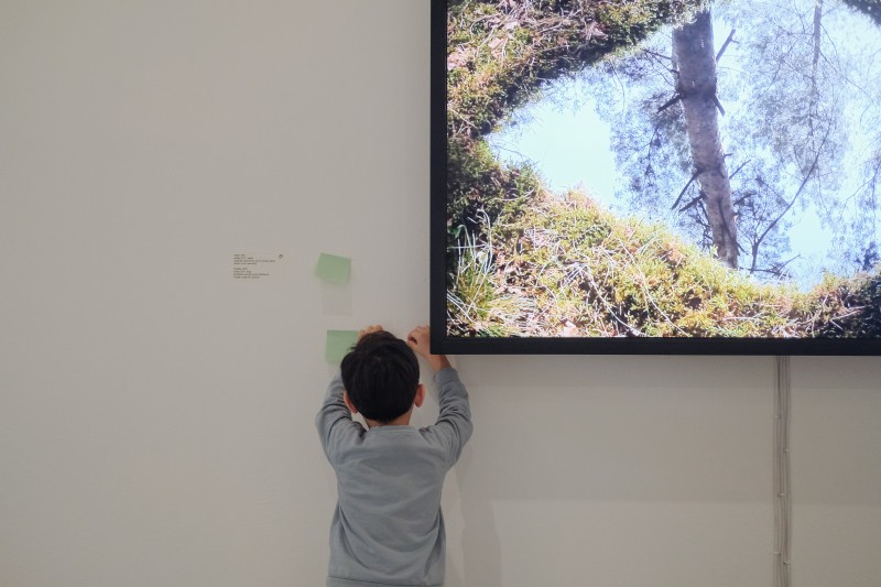  Zdjęcie. W środku kadru chłopiec odwrócony tyłem do widza, patrzący na ekran przedstawiający leśną sadzawkę.