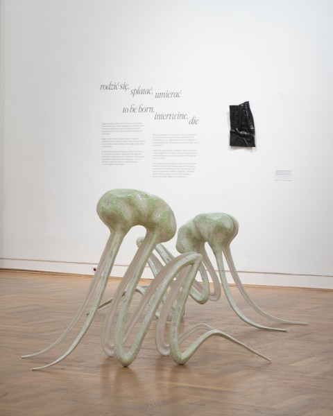 Dwie rzeźby w przestrzeni wystawy, pełzające posrebrzane żołądki z długimi witkami pełzające po podłodze.