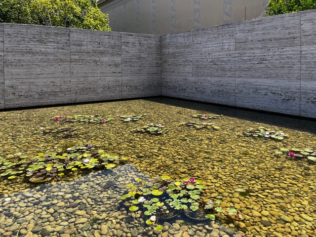 Nenufars of Ludwig Mies van der Rohe and Lilly Reich. On restoring water plants for architecture 