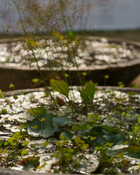 Spacer mikroklimatyczny z grupą projektową Centrala