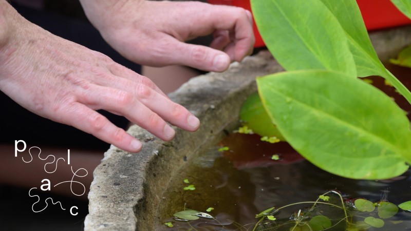 Hydrobotany
