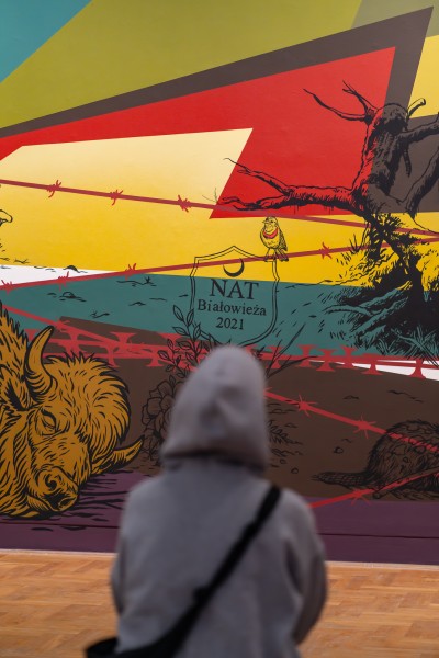 We are painting a large mural depicting life in the forest!