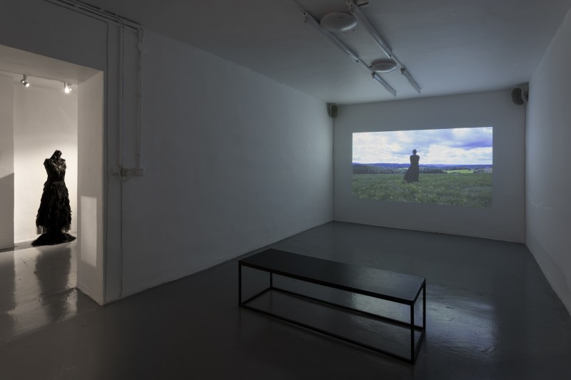 Metamorfozy. Pomiędzy sztuką a naturą