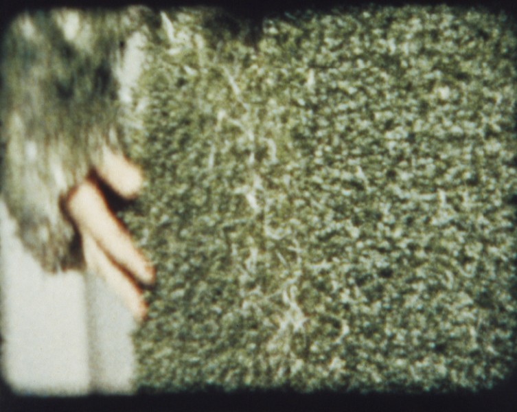 Powitanie wiosny – obrazy z rzeżuchy