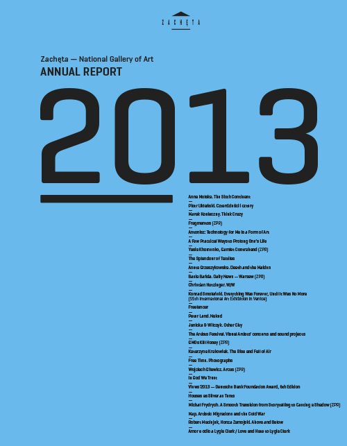 Grafika obiektu: Annual report 2013