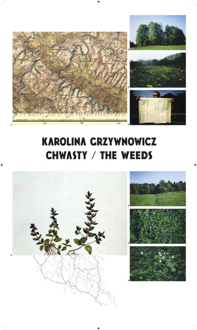 Grafika obiektu: Karolina Grzywnowicz. The Weeds