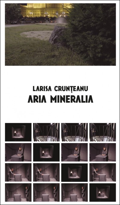 Grafika obiektu: Larisa Crunțeanu. Aria Mineralia