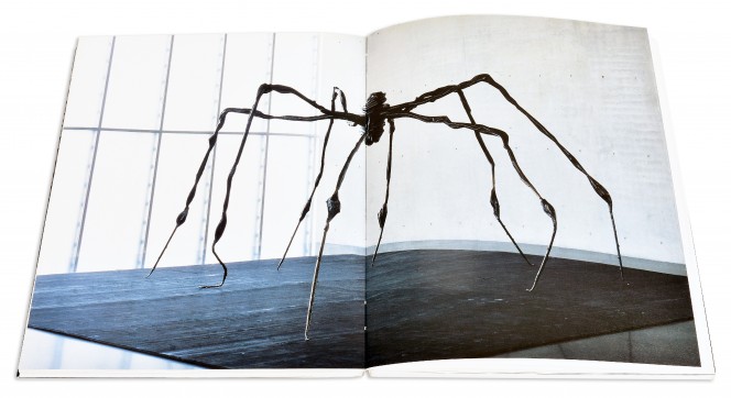 Grafika produktu: Louise Bourgeois. Geometry of desire (only in Polish)