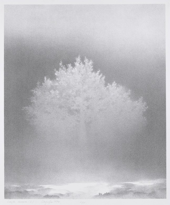 Czarno-biała grafika z zasnutym mgłą pejzażem; pośrodku duże rozpływające się we mgle drzewo.