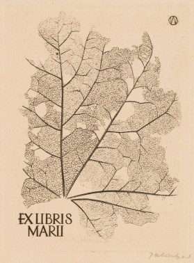 Zdjęcie pracy Exlibrus of Maria