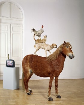 Instalacja złożona z wypreparowanych ciał czterech zwierząt, stojących jedno na drugim: na dole brązowy koń, na nim beżowy pies, rudy kot i biało-szary nakrapiany kogut. W skład instalacji wchodzi mały kineskopowy telewizor, na którym wyświetlany jest film