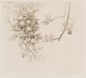 Zdjęcie pracy Two Twigs of Apple