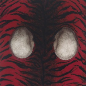 Fotografia o formacie kwadratu. Cały kadr wypełnia tkanina z czarnym wzorem tygrysich pręgów na czerwonym tle. W tkaninie wycięto dwa owalne otwory, przez które wystają owłosione męskie kolana.