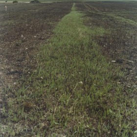 Fotografia o formacie kwadratu. Cały kadr wypełnia pole z widoczną brązową ziemią, miejscami porośnięte trawą. W oddali w lewym górnym rogu niewielka postać chodzącego po polu nagiego mężczyzny.