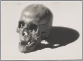 Zdjęcie pracy Skull