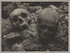 Dwie czaszki leżące na kamieniach.