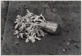 Zdjęcie pracy Overturned Flowers, Powązki Cemetery, Warsaw